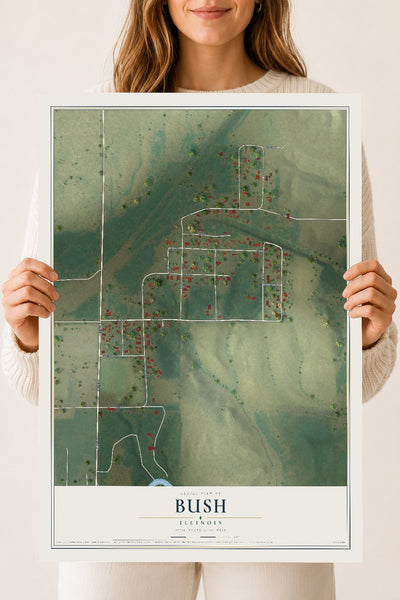 Map of Bush, Illinois, 18 x 24 inch unframed archival matte print
