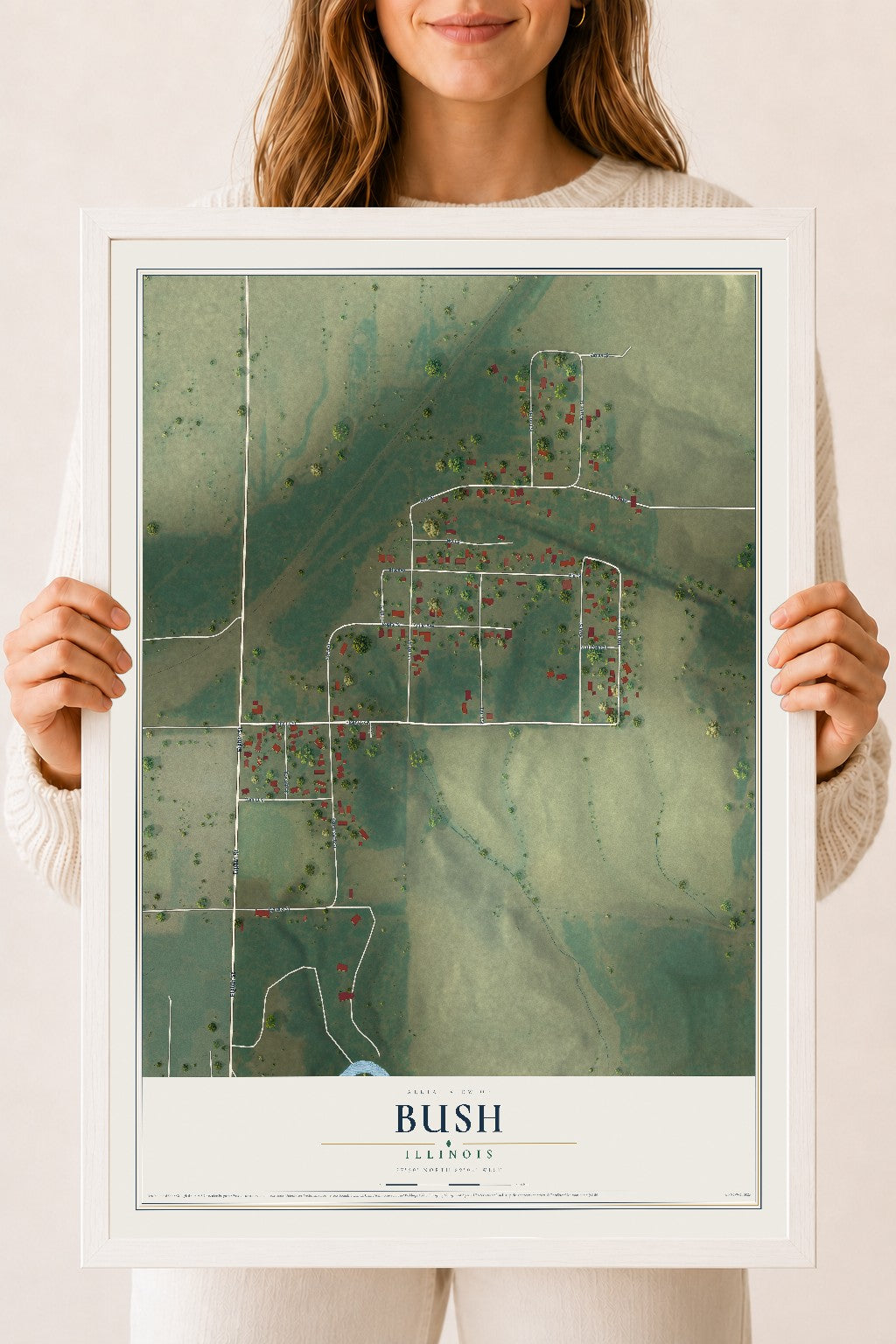 Map of Bush, Illinois, 18 x 24 inch print in a white wood frame