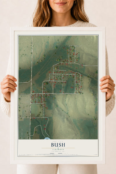 Map of Bush, Illinois, 18 x 24 inch print in a white wood frame