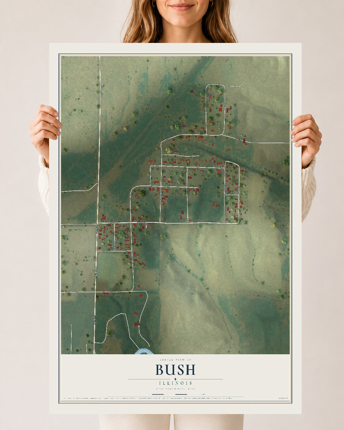Map of Bush, Illinois, 24 x 36 inch unframed archival matte print