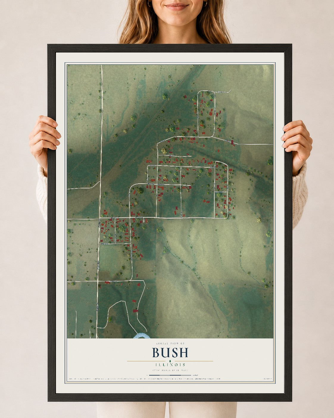 Map of Bush, Illinois, 24 x 36 inch print in a black wood frame