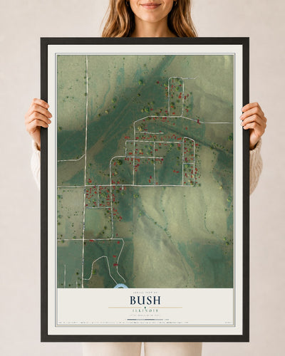Map of Bush, Illinois, 24 x 36 inch print in a black wood frame