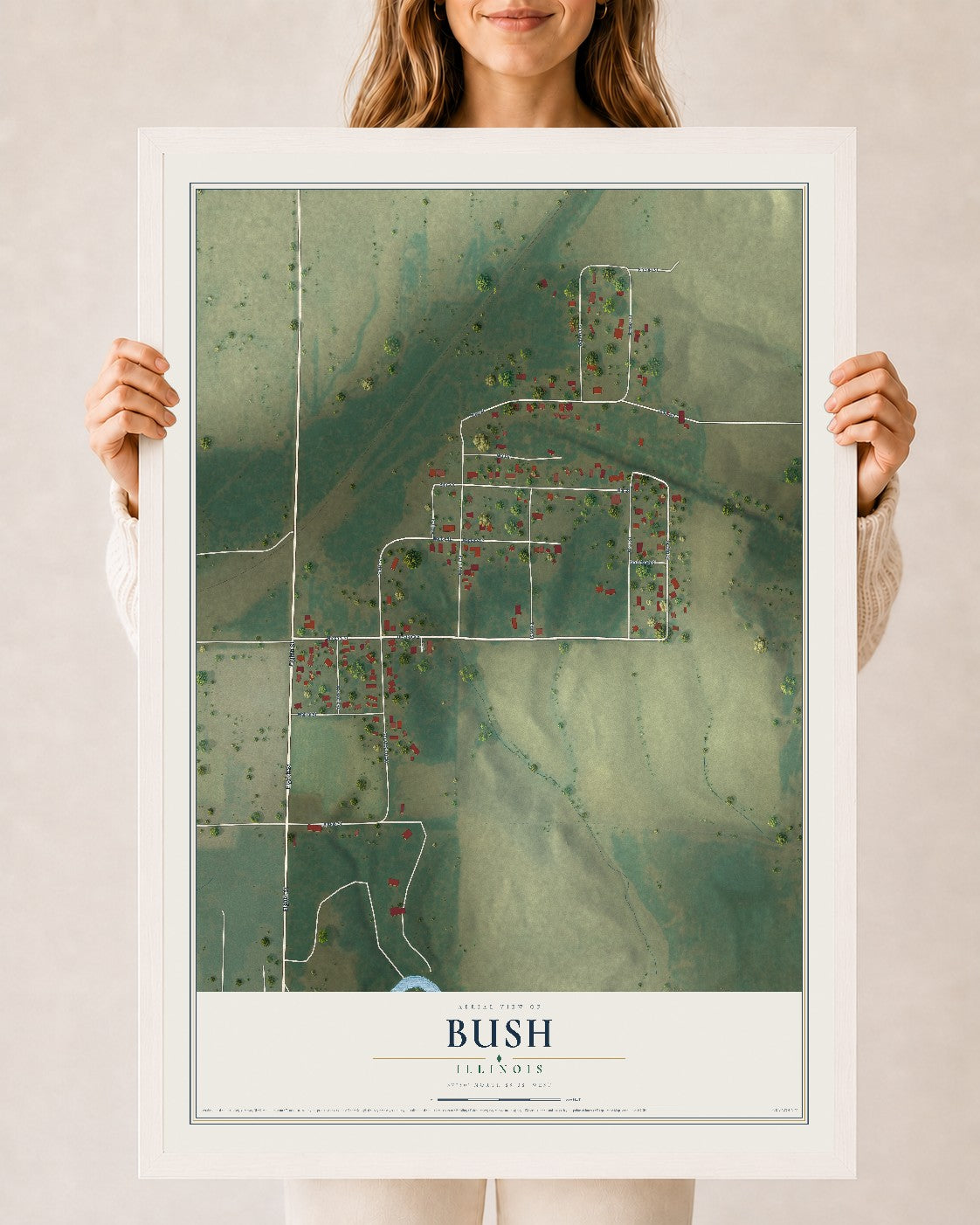 Map of Bush, Illinois, 24 x 36 inch print in a white wood frame