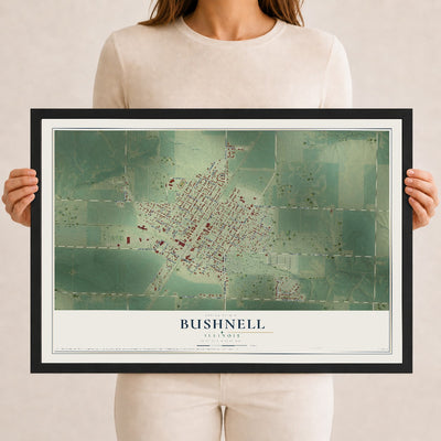 Map of Bushnell, Illinois, 12 x 18 inch print in a black wood frame