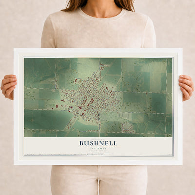 Map of Bushnell, Illinois, 12 x 18 inch print in a white wood frame