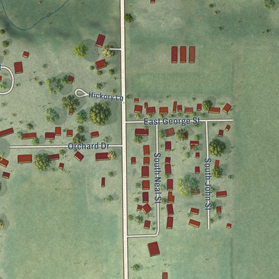 Second close-up of the map of Camargo, Illinois print showing more streets and buildings