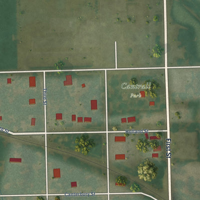 Close-up of the map of Cantrall, Illinois print showing street and building detail