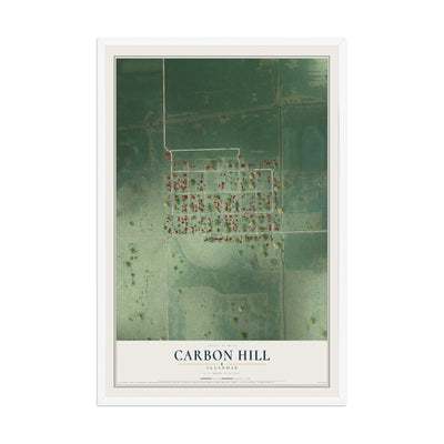 Map of Carbon Hill, Illinois, 12 x 18 inch print in a white wood frame