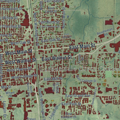 Close-up of the map of Carbondale, Illinois print showing street and building detail