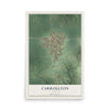 Map of Carrollton, Illinois, 12 x 18 inch unframed archival matte print