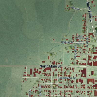 Second close-up of the map of Carrollton, Illinois print showing more streets and buildings