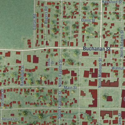 Second close-up of the map of Carthage, Illinois print showing more streets and buildings