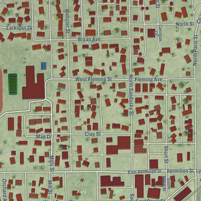 Close-up of the map of Catlin, Illinois print showing street and building detail