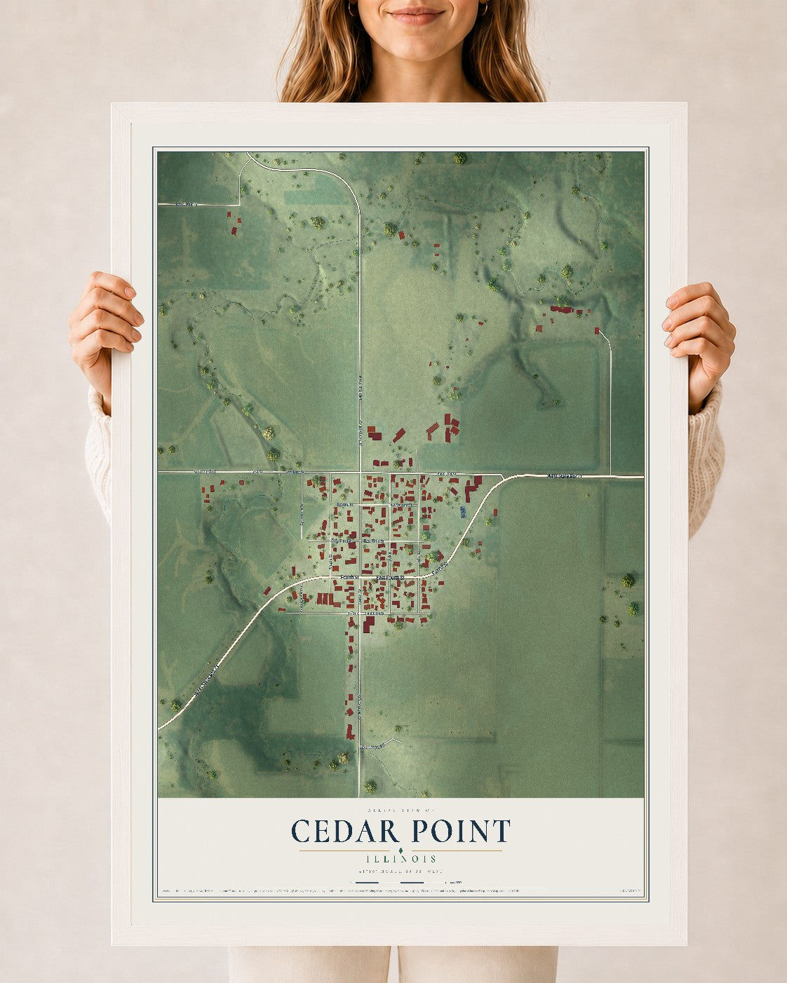 Map of Cedar Point, Illinois, 24 x 36 inch print in a white wood frame