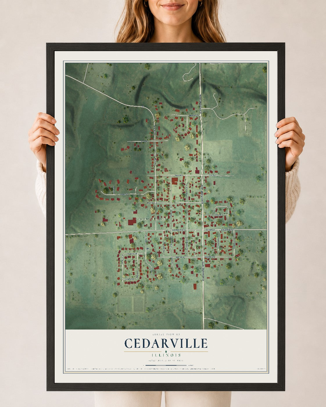 Map of Cedarville, Illinois, 24 x 36 inch print in a black wood frame
