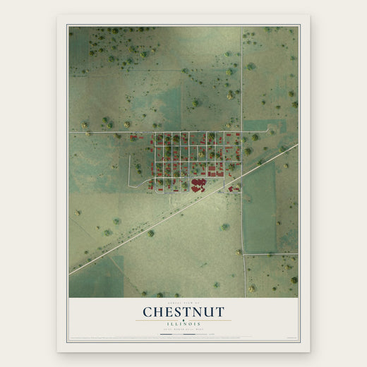 Chestnut, Illinois map print, the full design