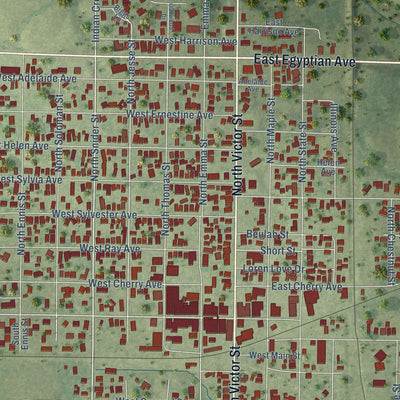 Close-up of the map of Christopher, Illinois print showing street and building detail