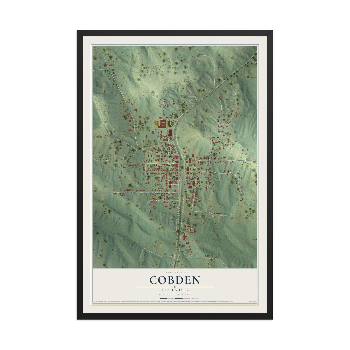 Map of Cobden, Illinois, 12 x 18 inch print in a black wood frame