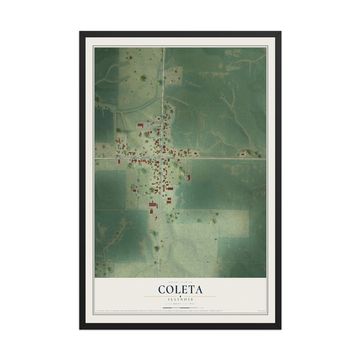 Map of Coleta, Illinois, 12 x 18 inch print in a black wood frame