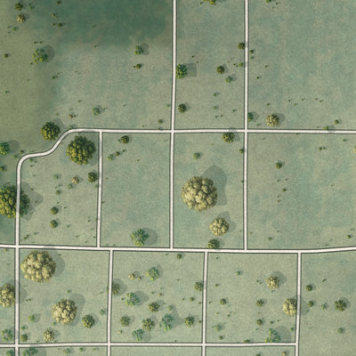 Second close-up of the map of Colp, Illinois print showing more streets and buildings