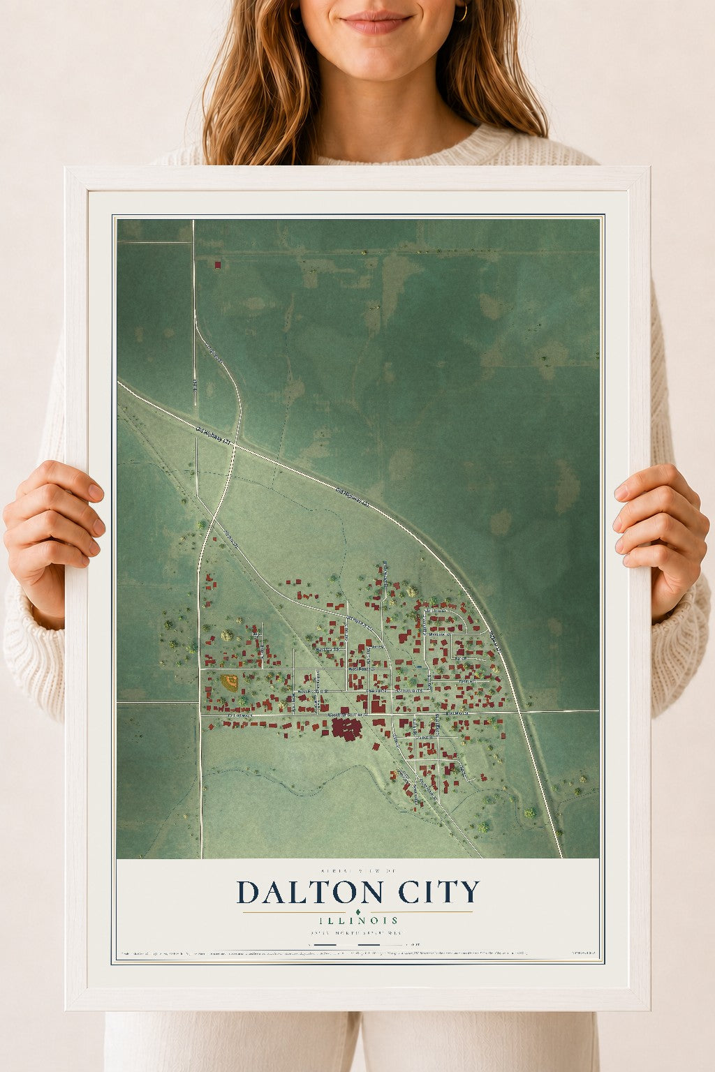 Map of Dalton City, Illinois, 18 x 24 inch print in a white wood frame