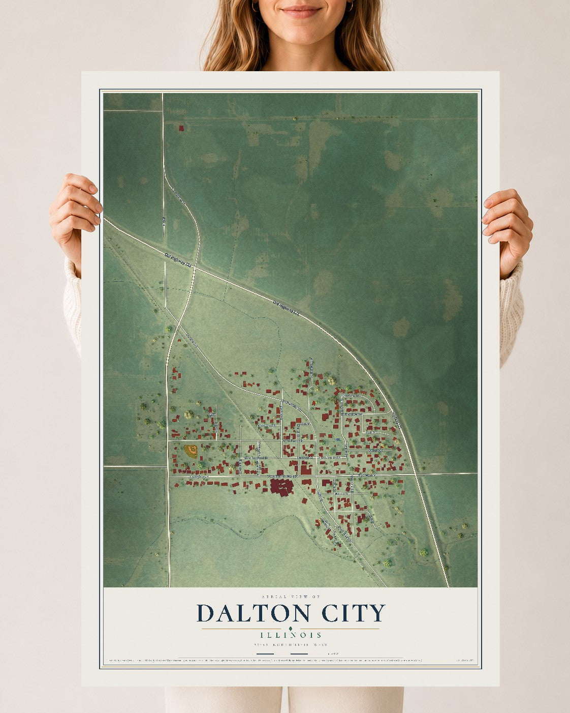 Map of Dalton City, Illinois, 24 x 36 inch unframed archival matte print