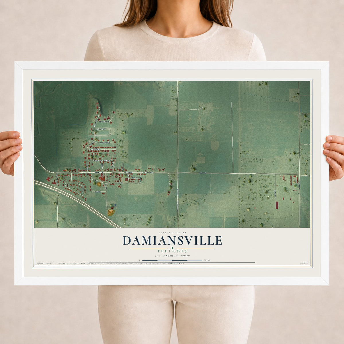 Map of Damiansville, Illinois, 18 x 24 inch print in a white wood frame