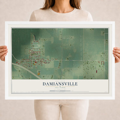 Map of Damiansville, Illinois, 18 x 24 inch print in a white wood frame