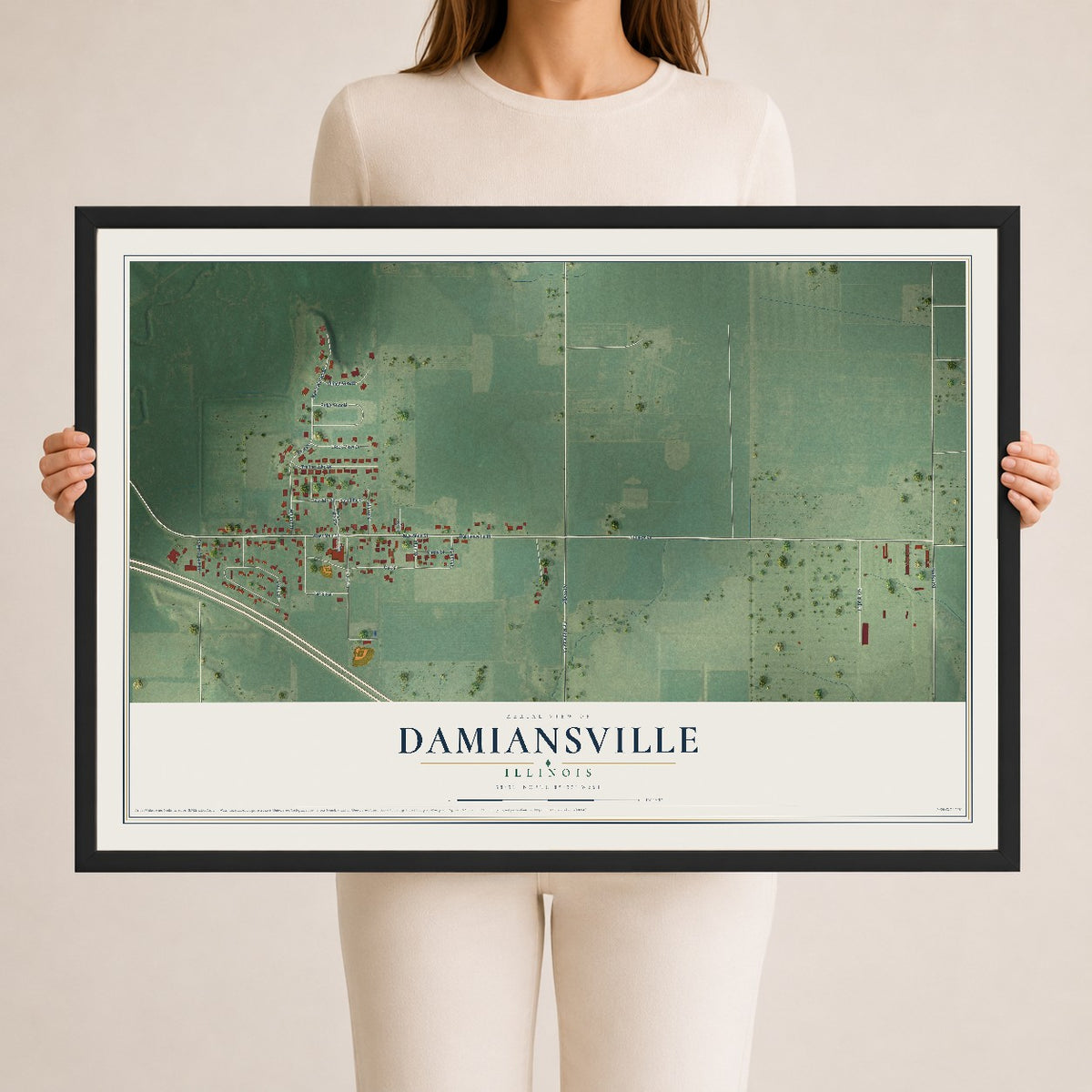 Map of Damiansville, Illinois, 24 x 36 inch print in a black wood frame