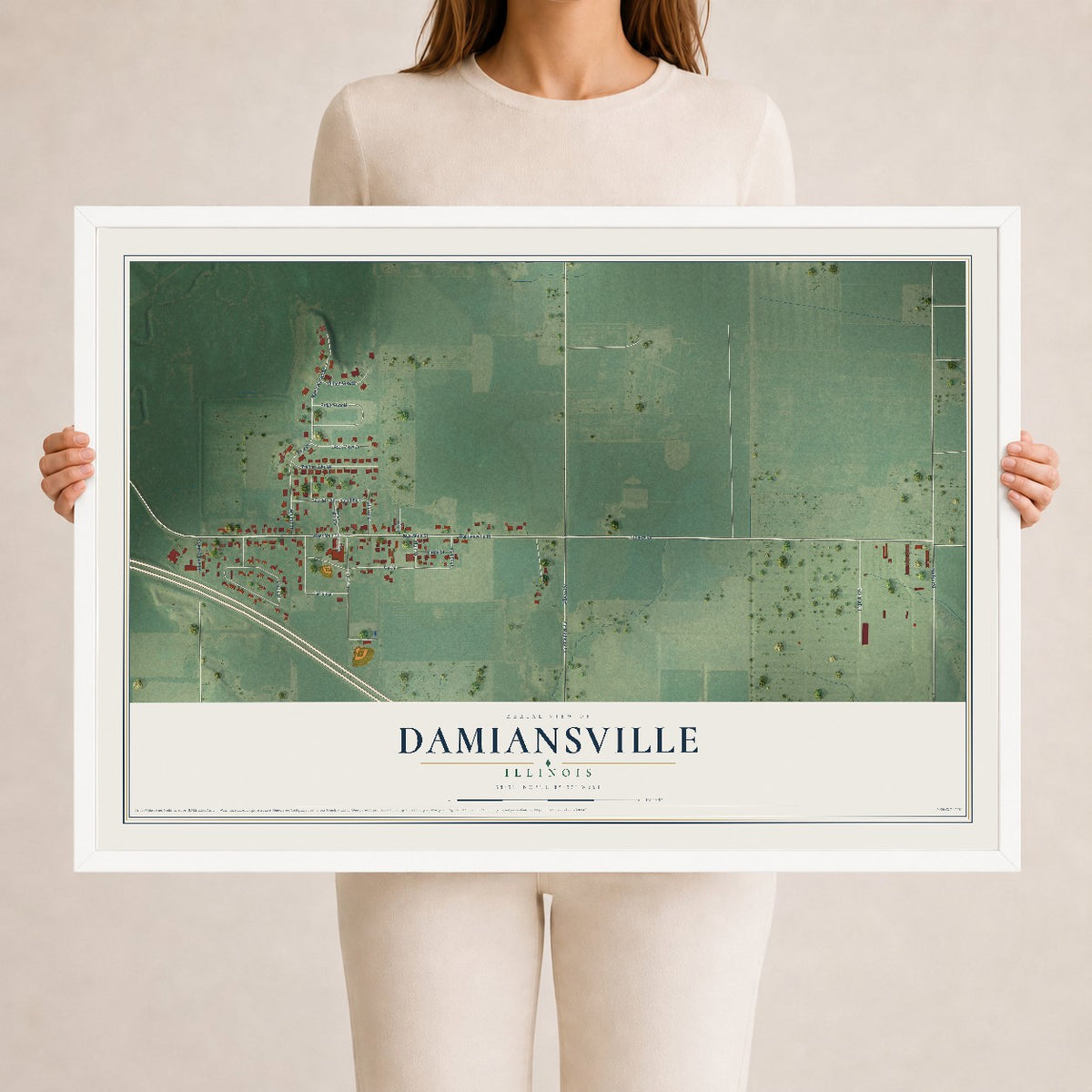 Map of Damiansville, Illinois, 24 x 36 inch print in a white wood frame