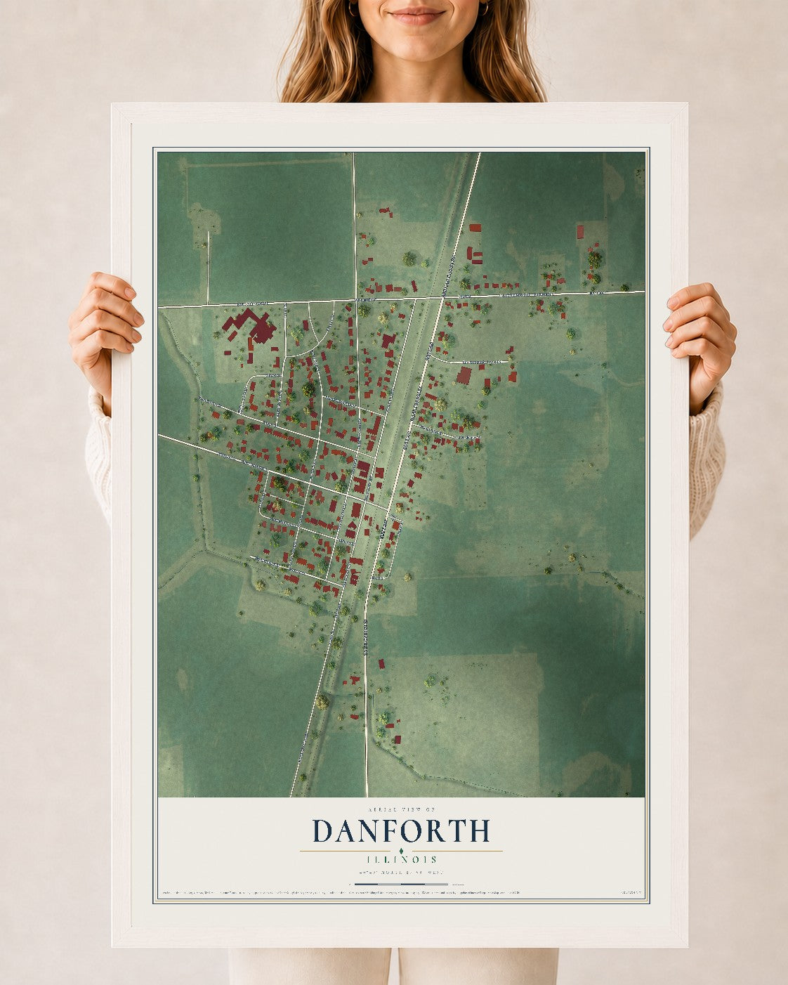 Map of Danforth, Illinois, 24 x 36 inch print in a white wood frame