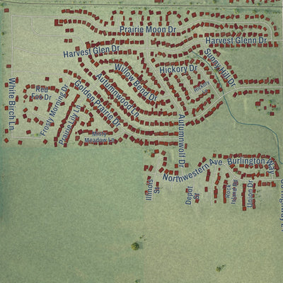 Close-up of the map of Davis Junction, Illinois print showing street and building detail