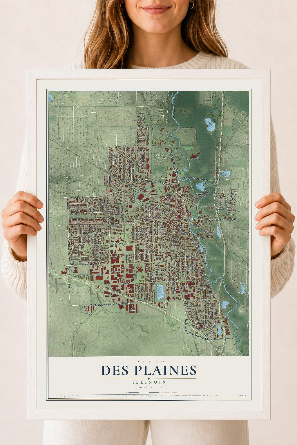 Map of Des Plaines, Illinois, 18 x 24 inch print in a white wood frame