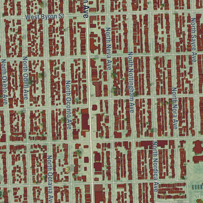 Close-up of the map of Dunning, Illinois print showing street and building detail