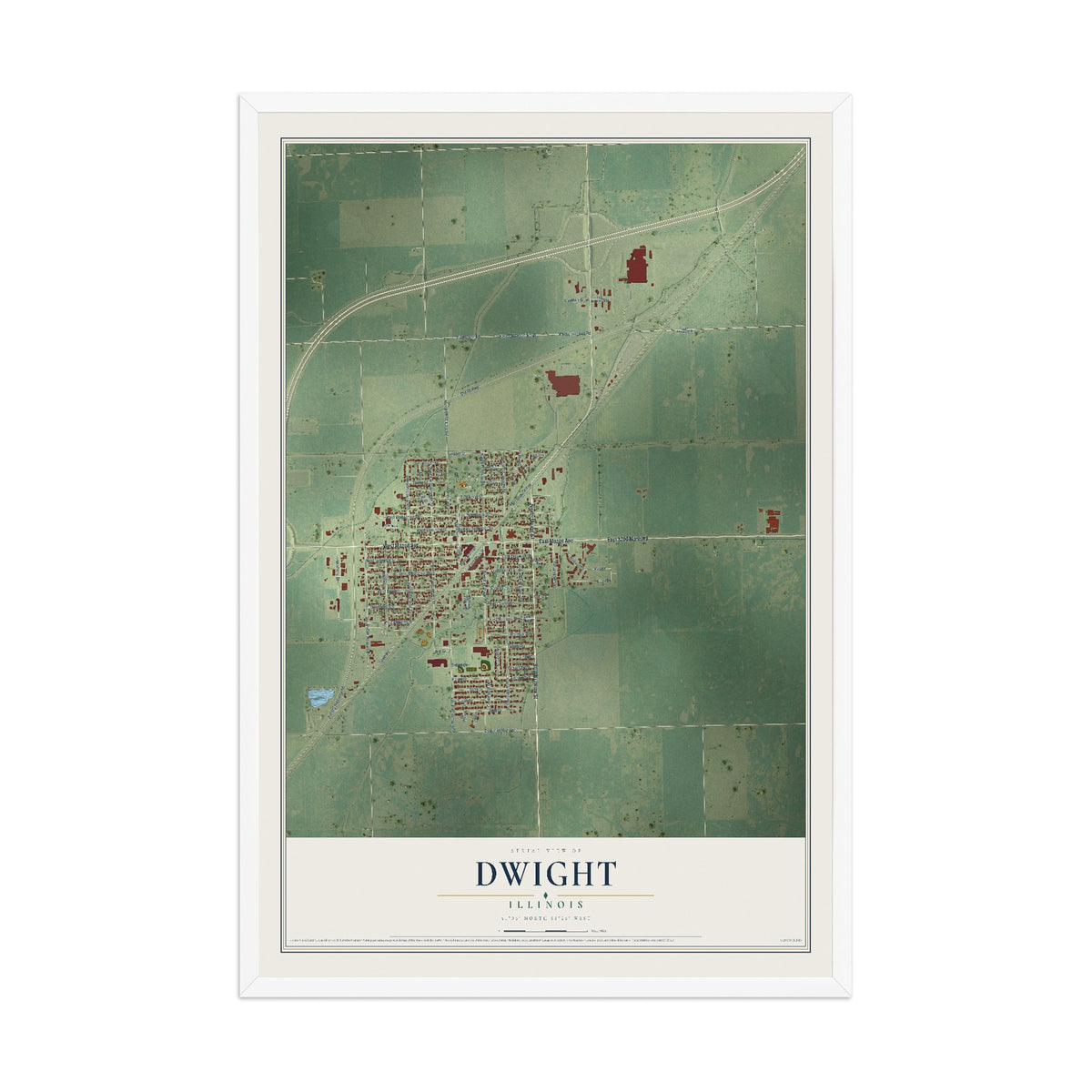 Map of Dwight, Illinois, 12 x 18 inch print in a white wood frame