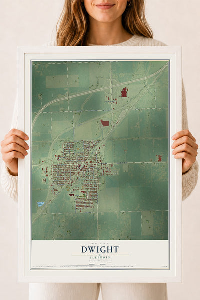 Map of Dwight, Illinois, 18 x 24 inch print in a white wood frame