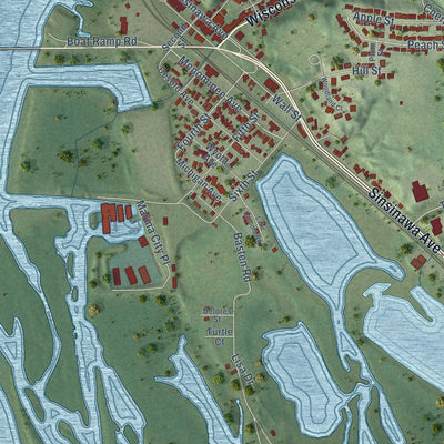 Close-up of the map of East Dubuque, Illinois print showing street and building detail