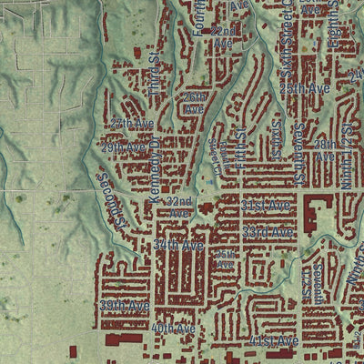 Close-up of the map of East Moline, Illinois print showing street and building detail