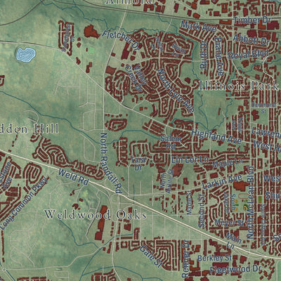 Second close-up of the map of Elgin, Illinois print showing more streets and buildings