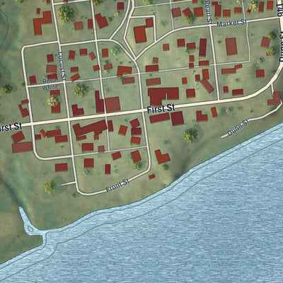 Close-up of the map of Elizabethtown, Illinois print showing street and building detail