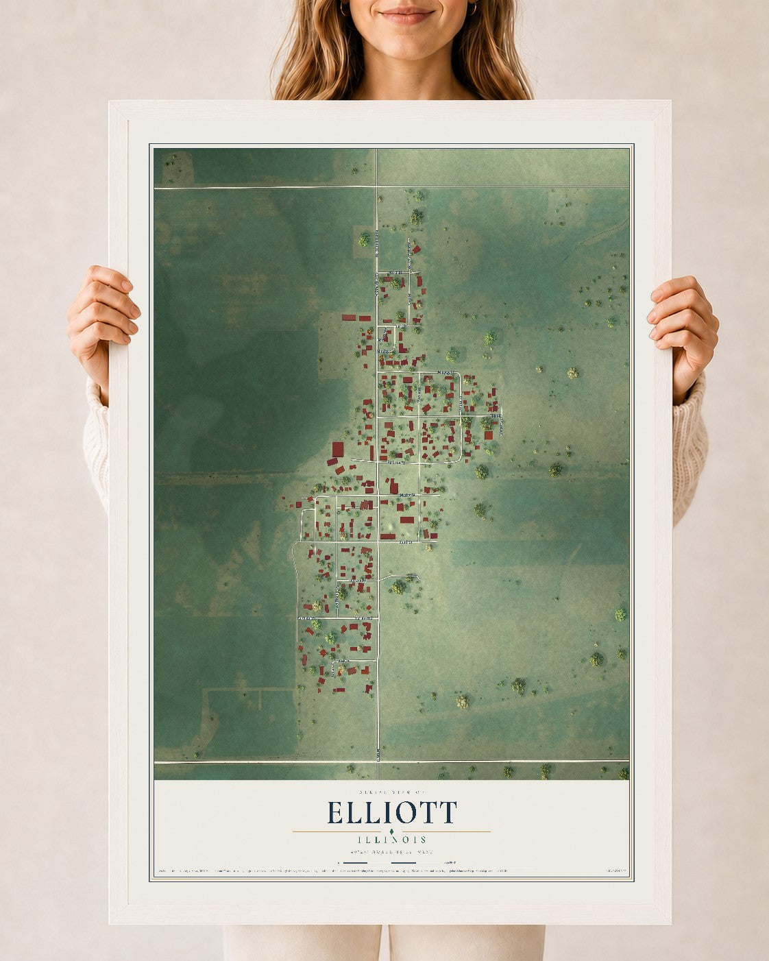 Map of Elliott, Illinois, 24 x 36 inch print in a white wood frame