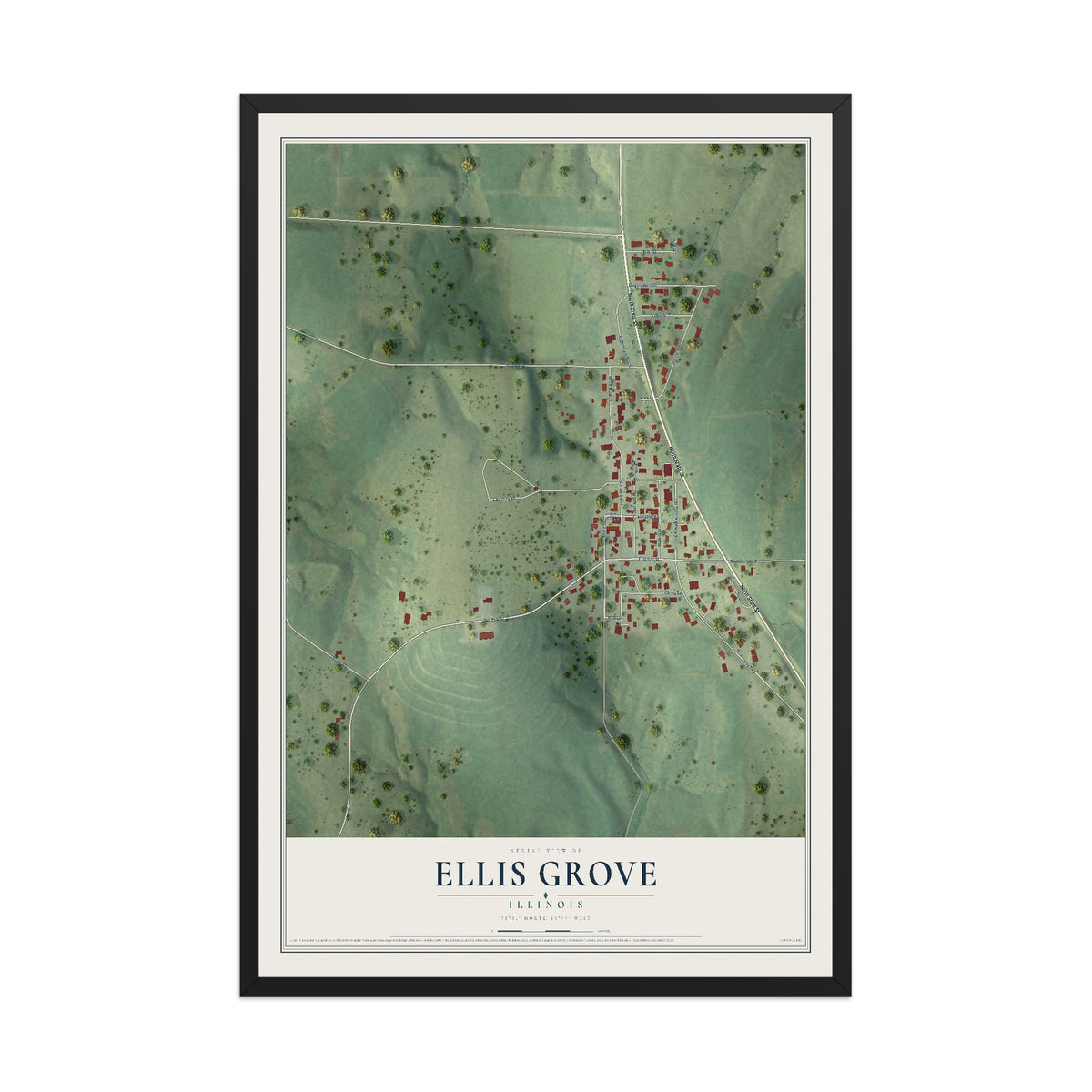 Map of Ellis Grove, Illinois, 12 x 18 inch print in a black wood frame