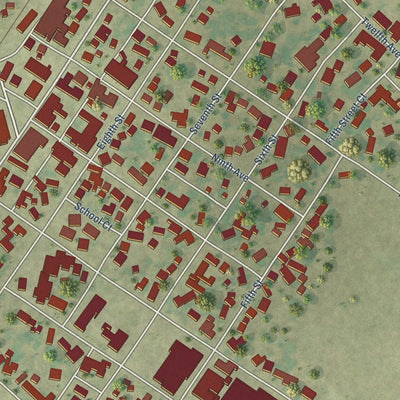 Close-up of the map of Erie, Illinois print showing street and building detail