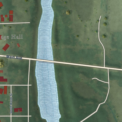 Second close-up of the map of Fayetteville, Illinois print showing more streets and buildings