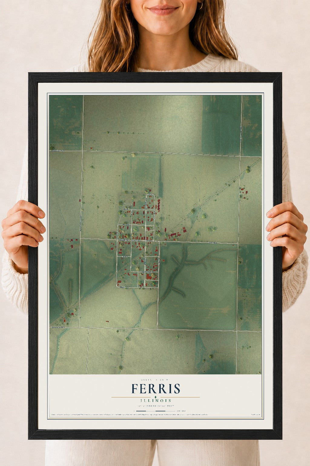 Map of Ferris, Illinois, 18 x 24 inch print in a black wood frame