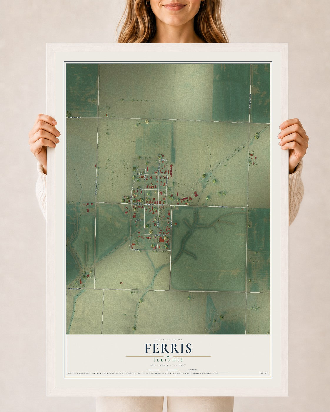 Map of Ferris, Illinois, 24 x 36 inch print in a white wood frame