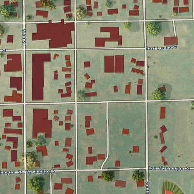 Close-up of the map of Flanagan, Illinois print showing street and building detail