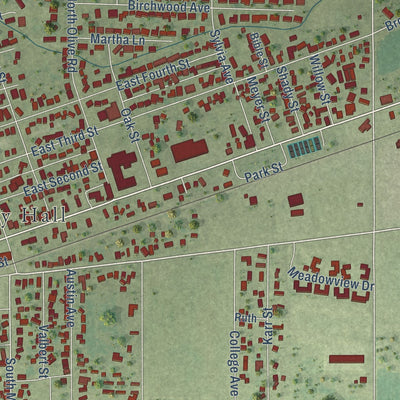 Second close-up of the map of Flora, Illinois print showing more streets and buildings