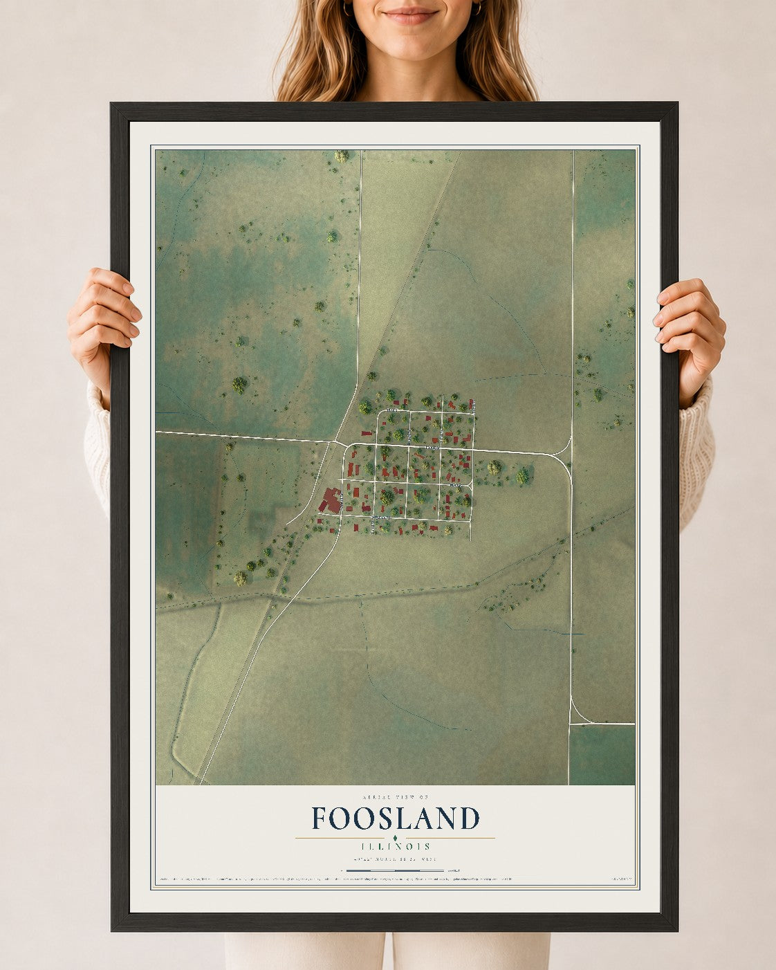 Map of Foosland, Illinois, 24 x 36 inch print in a black wood frame