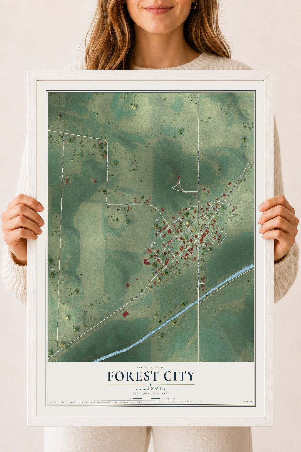 Map of Forest City, Illinois, 18 x 24 inch print in a white wood frame
